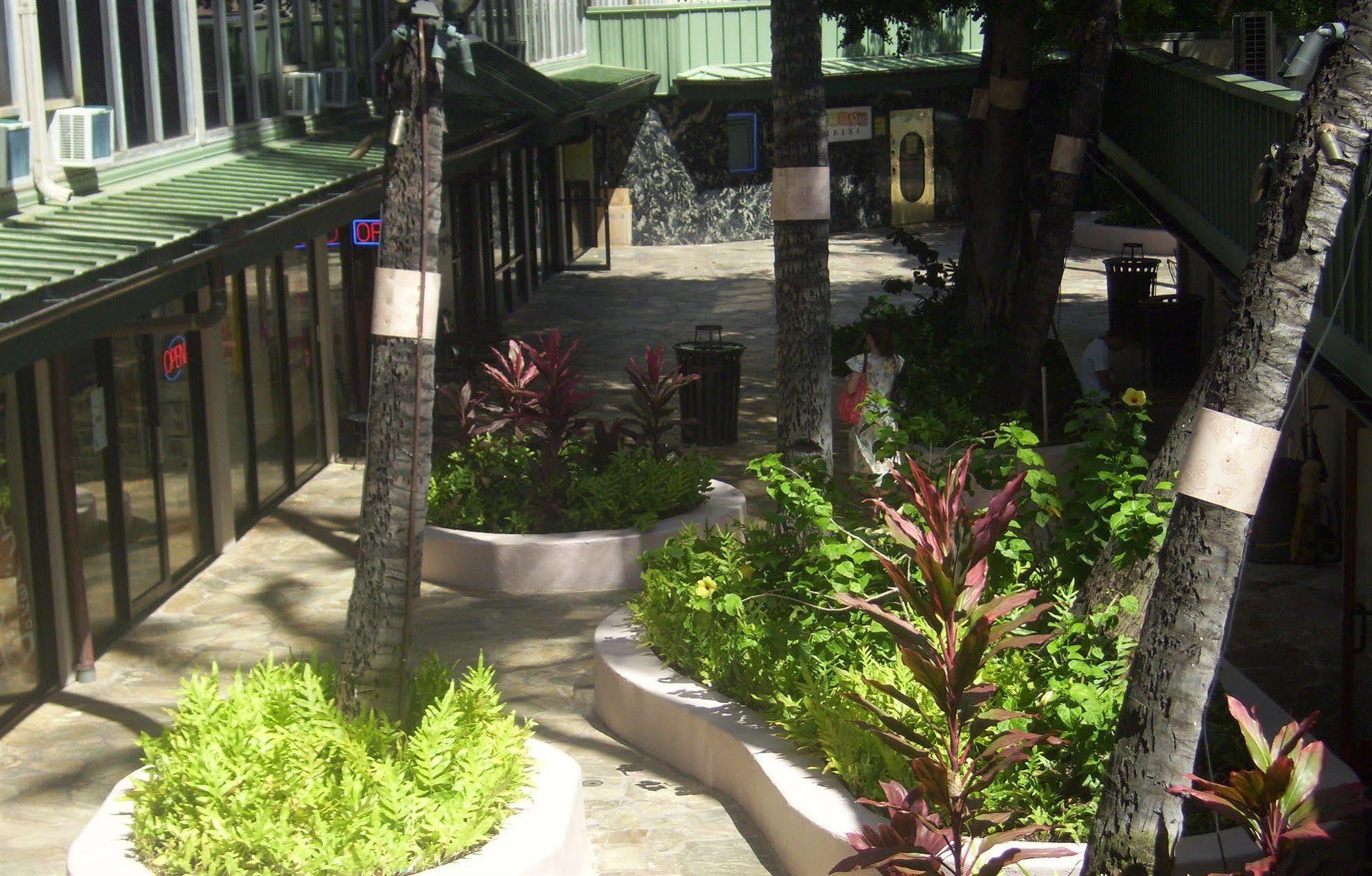 Kuhio Banyan Hotel Гонолулу Экстерьер фото